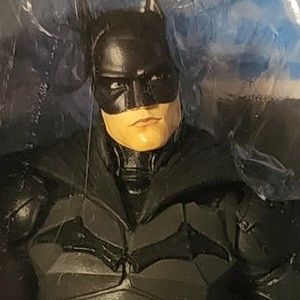 Meet your Posher, Samson